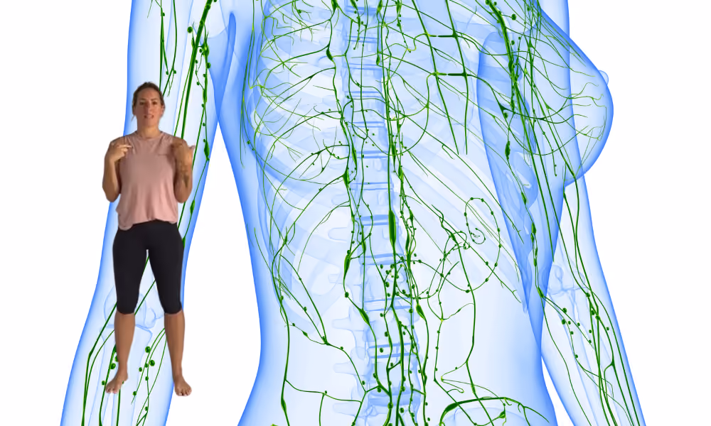 The Overlooked System: Lymph Flow in Chronic Illness and Recovery