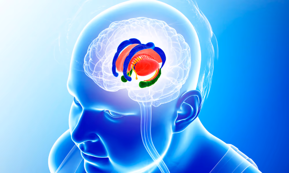 Limbic System Retraining: When Treatment Isn’t Enough