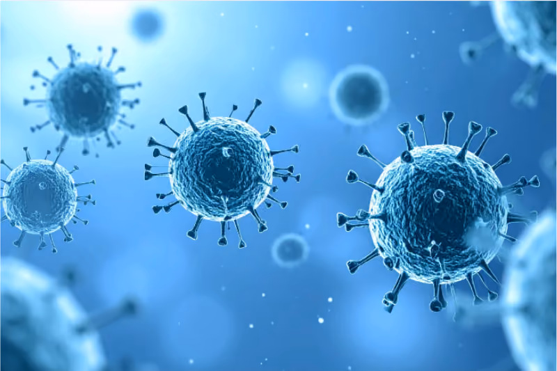 When Lyme Disease Reaches the Uterus: Rethinking Borrelia and Women’s Health