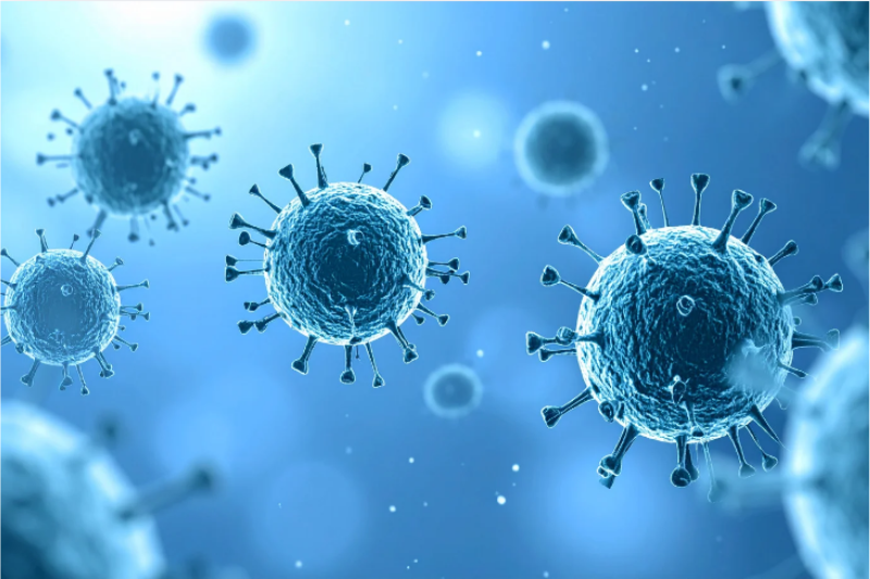 DNA Connexions SuperFloss Lyme Panel: Direct Evidence in a World of Indirect Tests