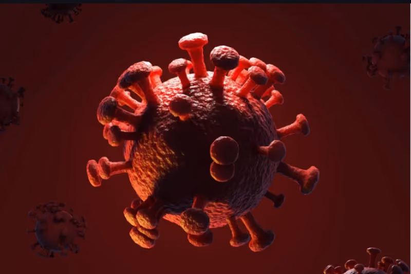 Can Vector-Borne Infections Be Passed From Mother to Baby?