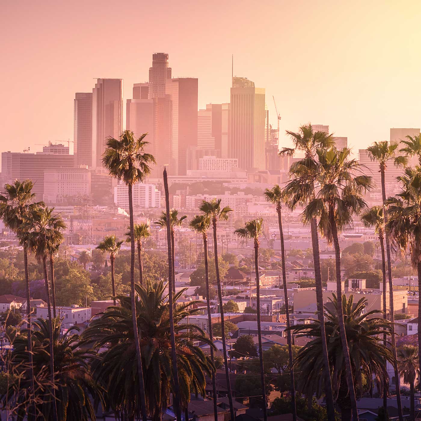 Photographer Los Angeles