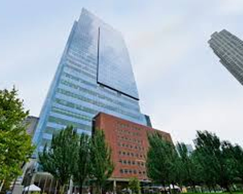 Photography Service Jersey City