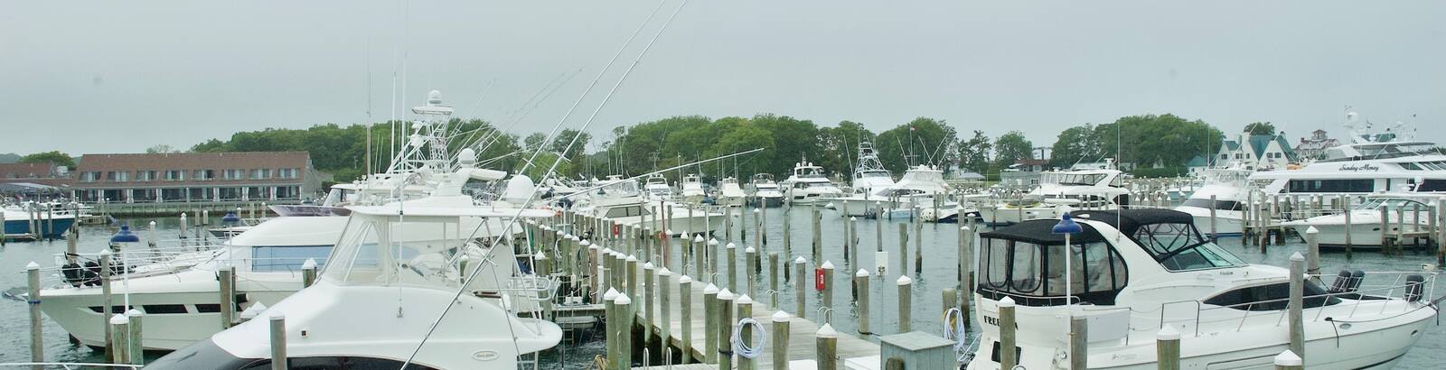 Video Production for Events and Trade Shows in Hamptons