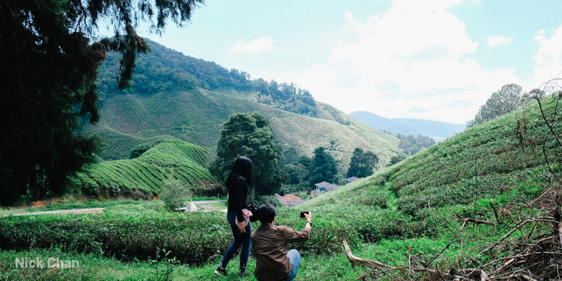 Private Limousine Transfer from kuala lumpur to Cameron Highlands