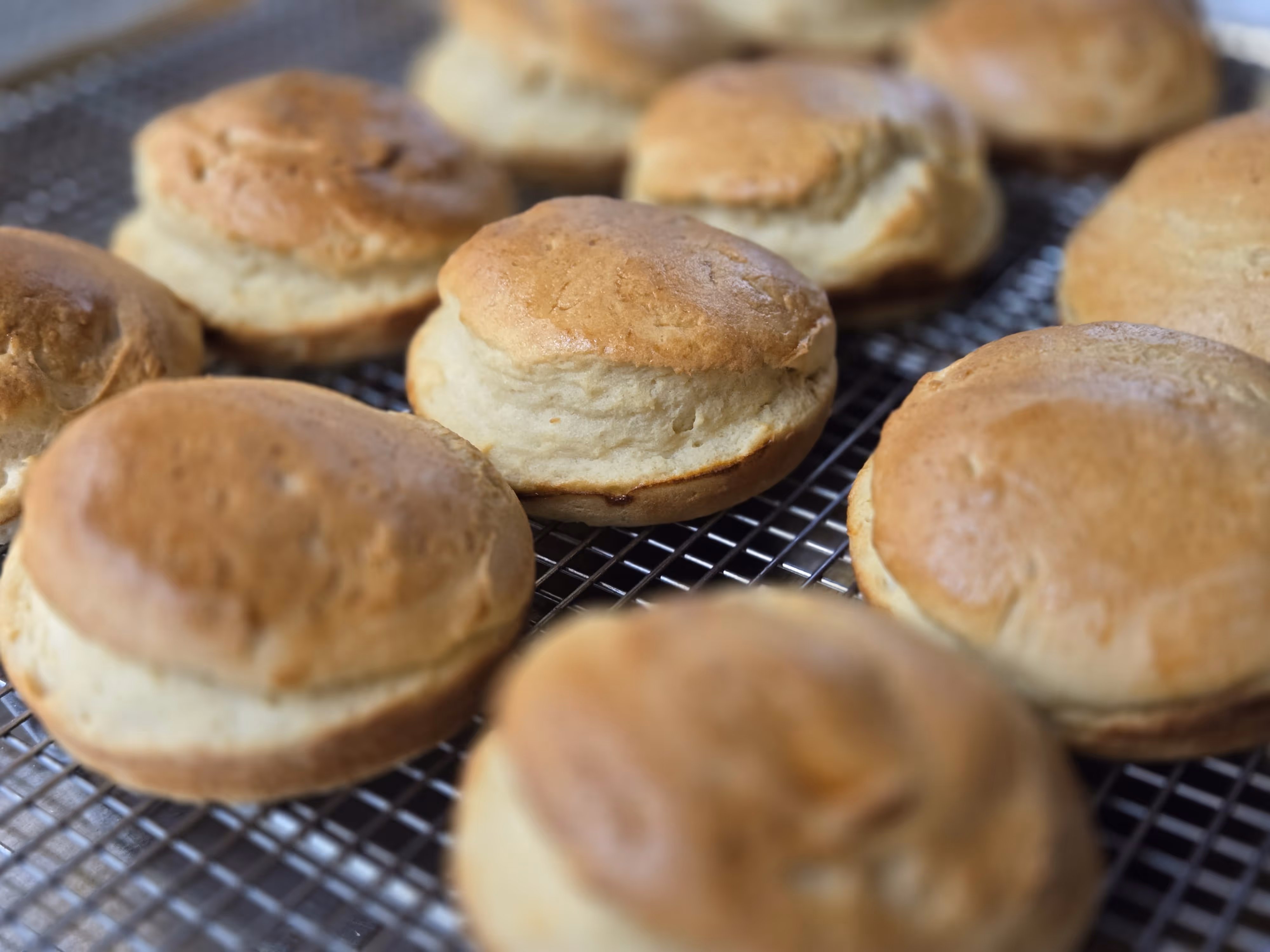 Brioche Bun