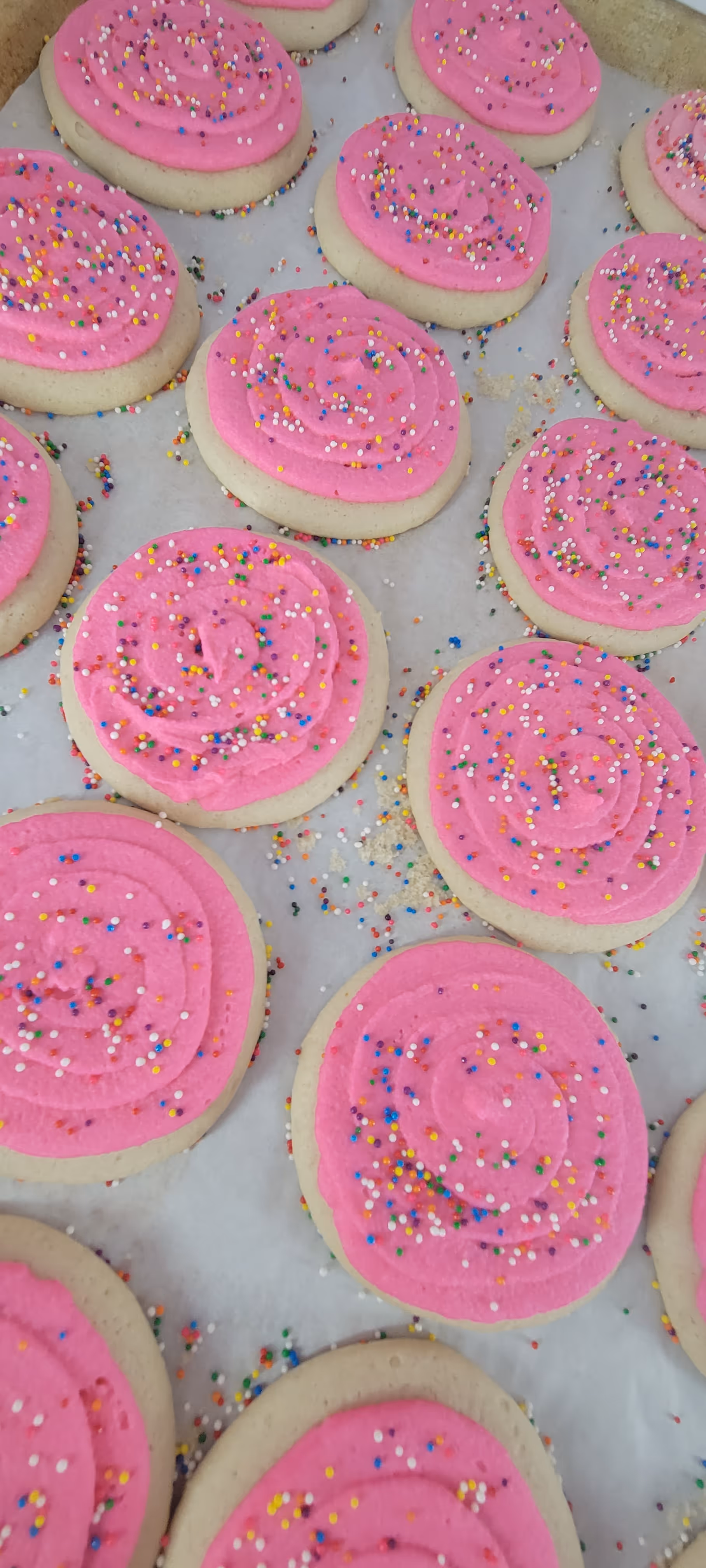 Sugar Cookies 