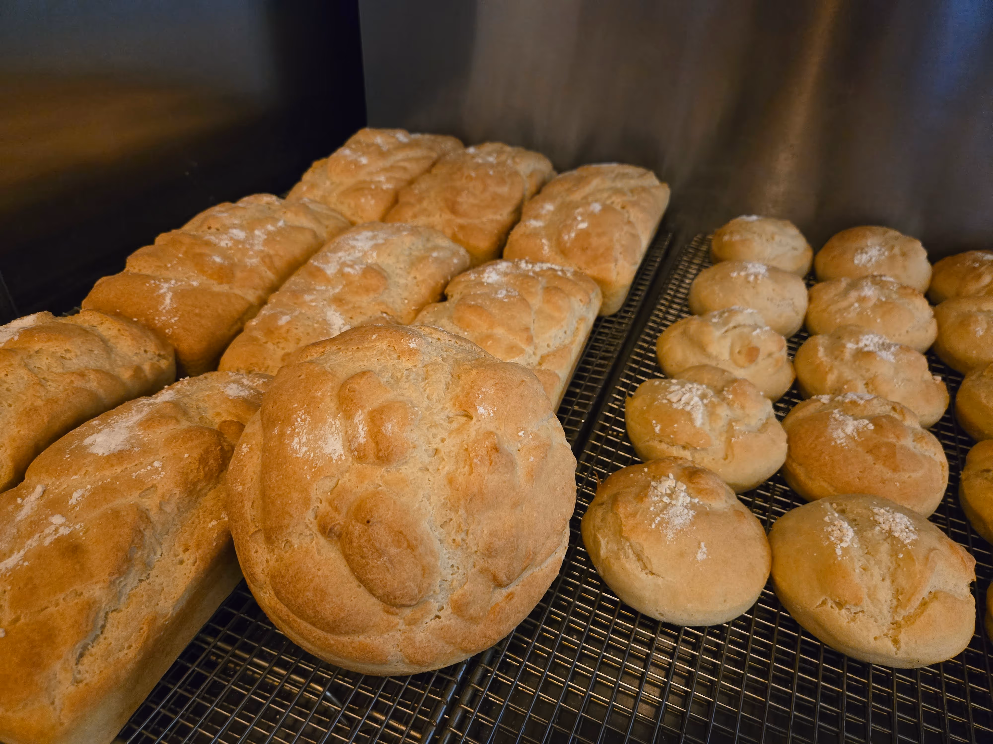 Sourdough Loaves