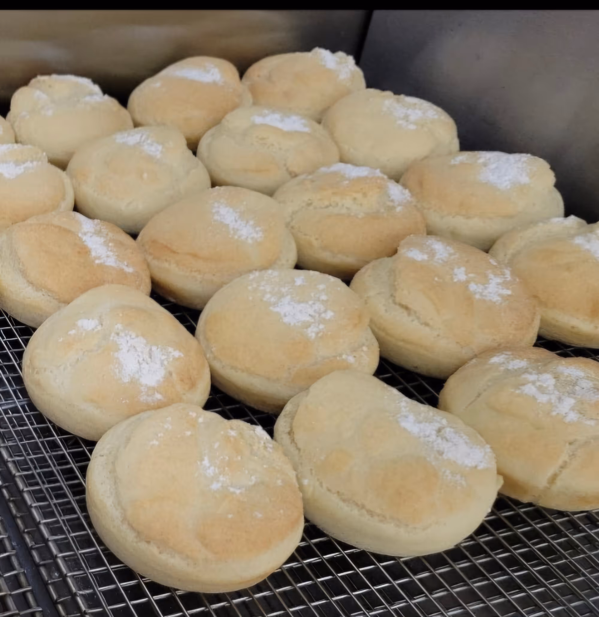 Sourdough Bun