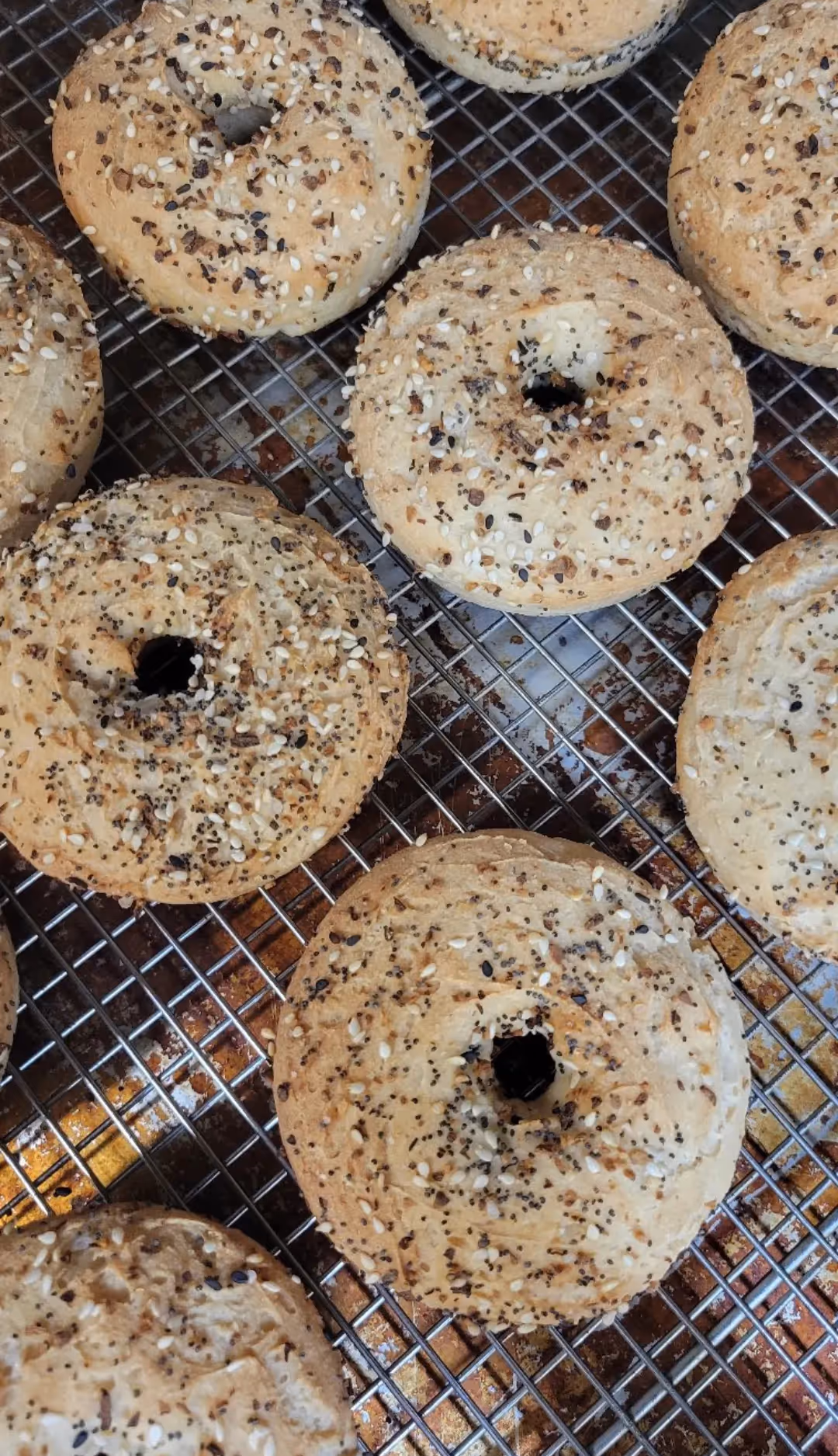 Vegan Bagels
