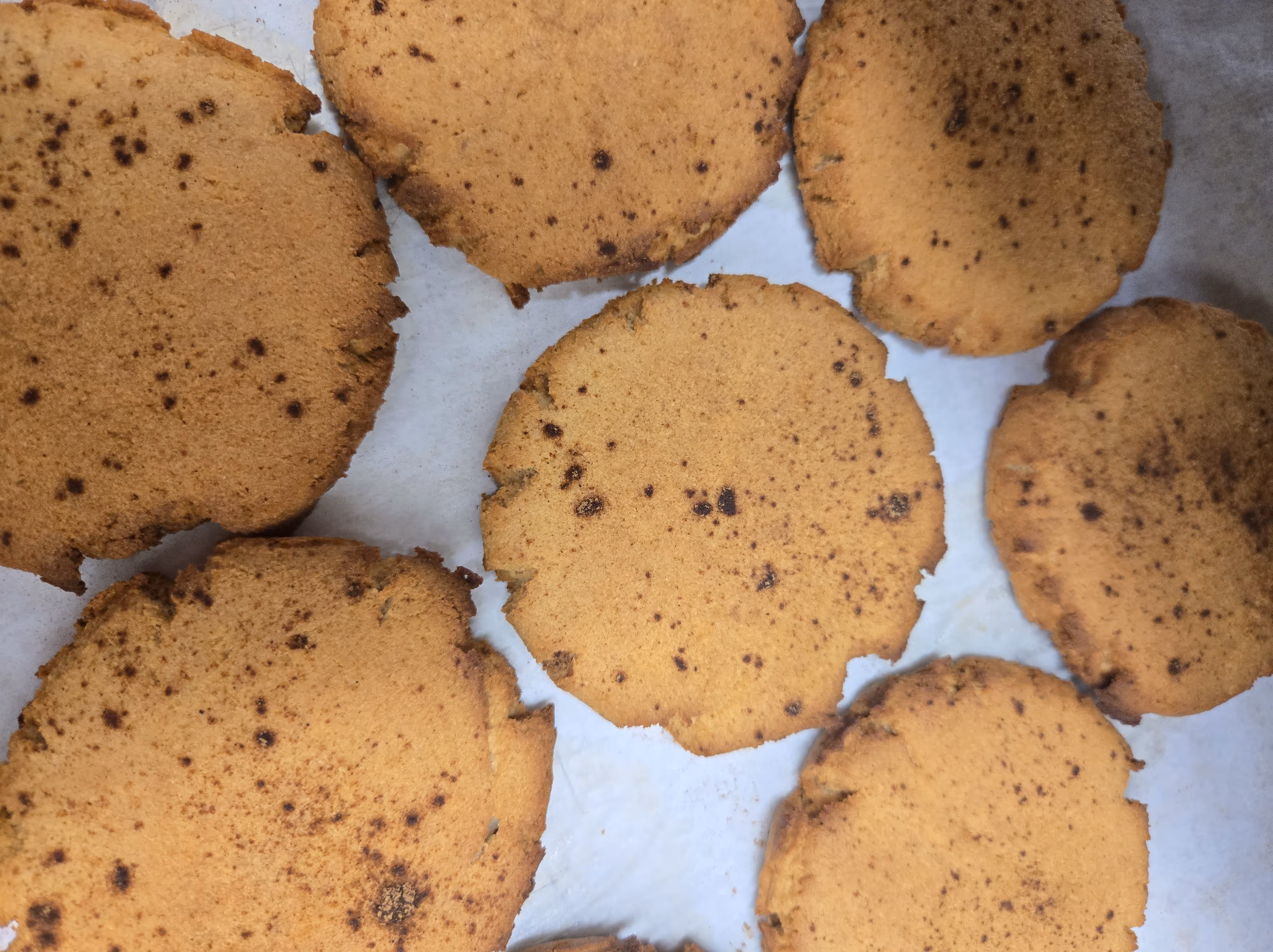 Sugar Free/Keto Snickerdoodle