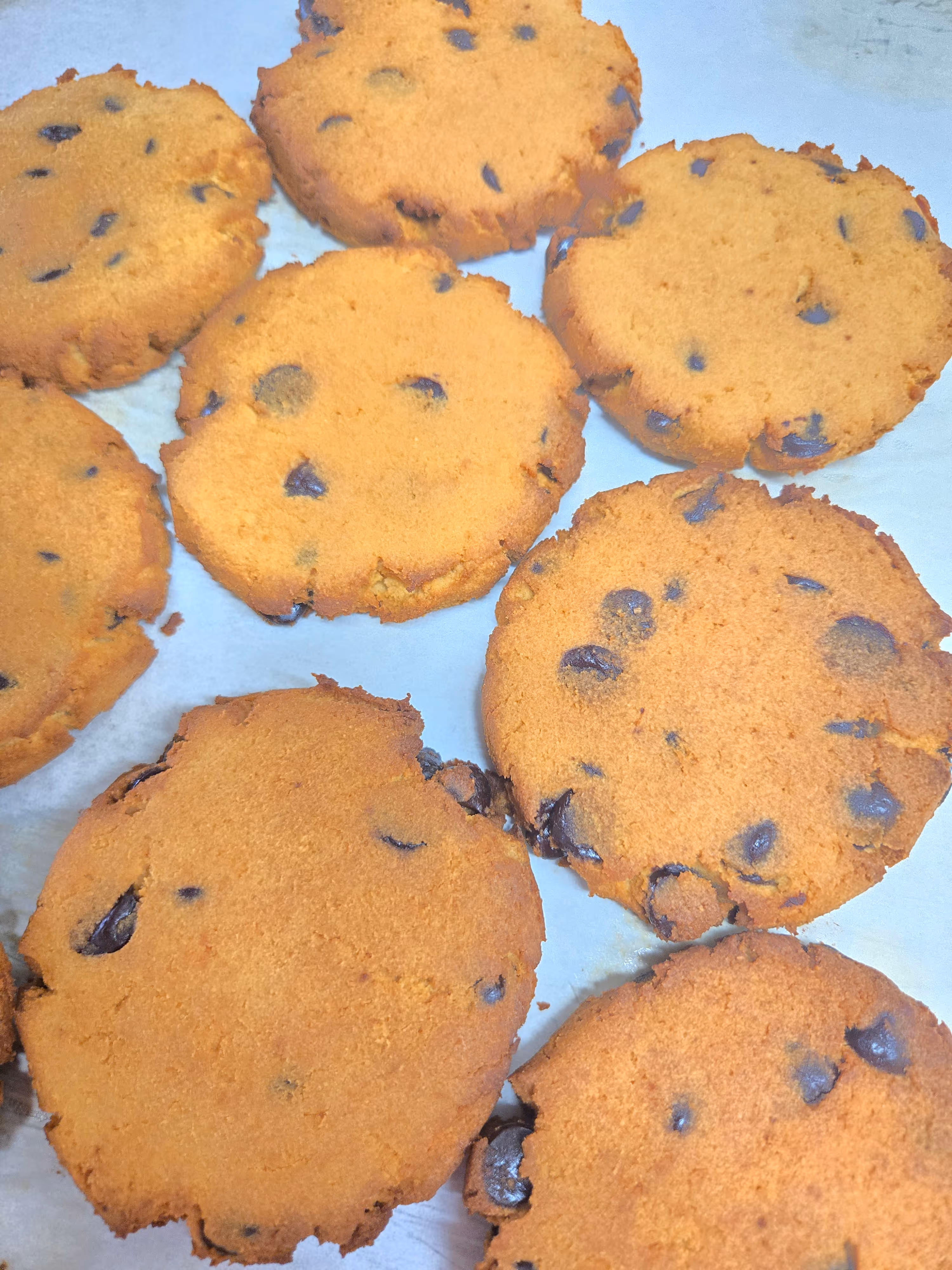 Sugar Free/Keto Chocolate Chip Cookie