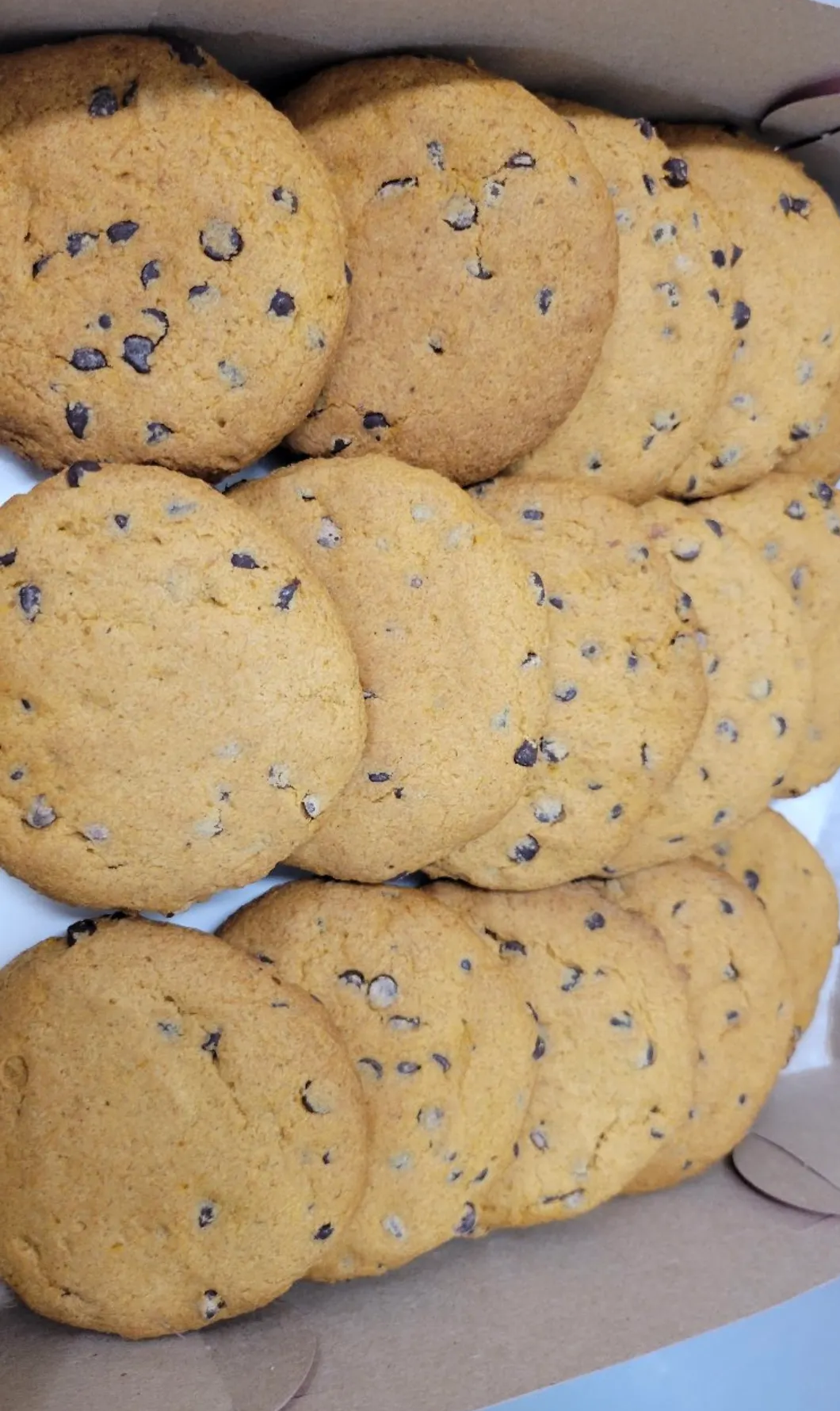 Pumpkin Chocolate Chookies