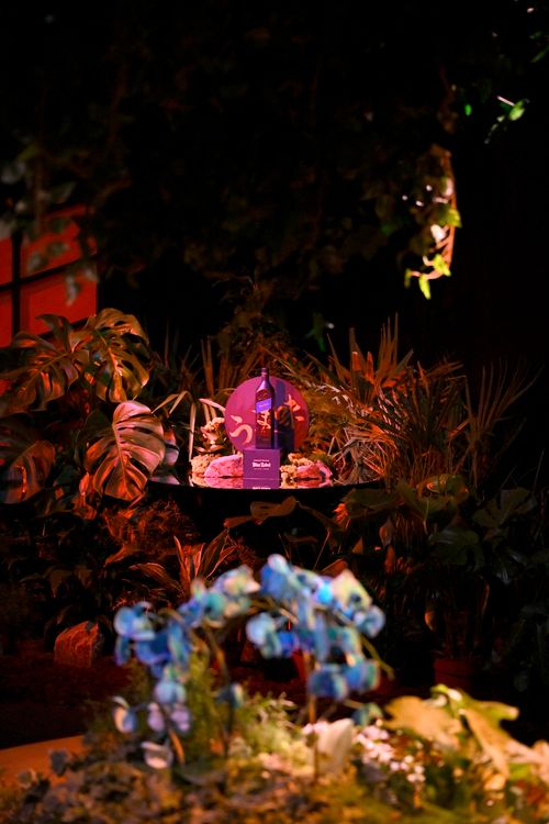 Installation intérieure immersive avec plantes et puits de lumière entourant une bouteille de whisky.