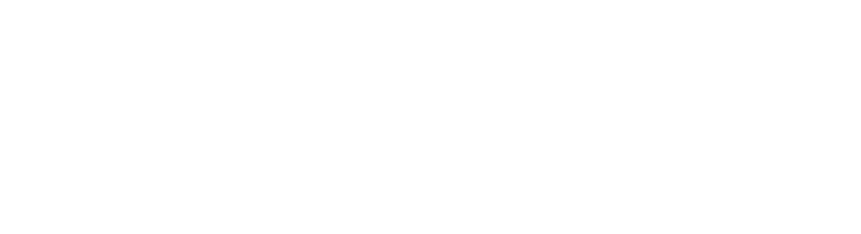 Logo with stylized S symbol and text Rozie Synopsis in bold white font.