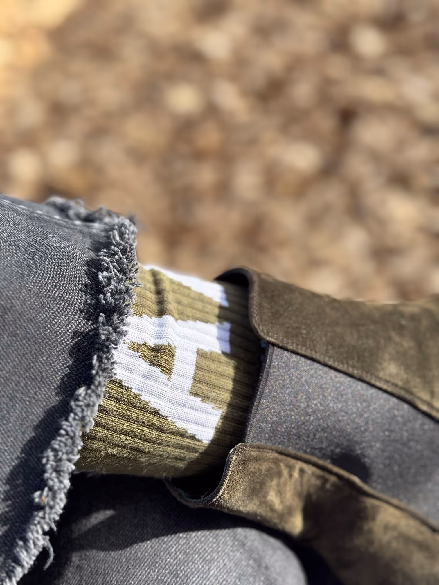 AARI Forest - Vergangene Events - Waldtage 2025