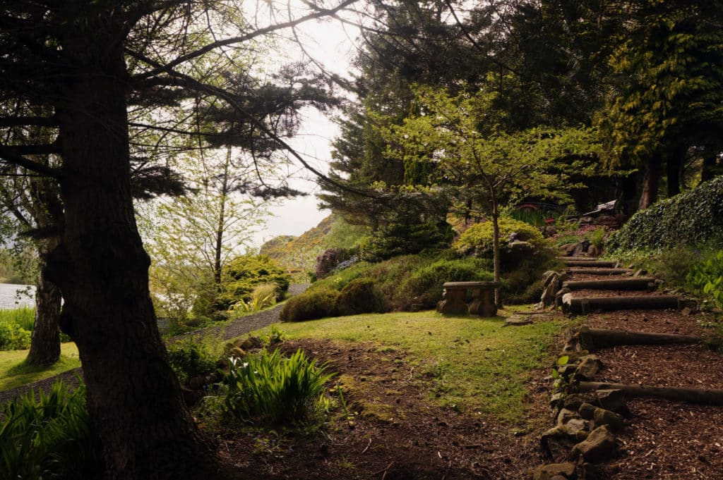 Peaceful Dr Neil's Garden in Edinburgh showing hidden stone steps and greenery.