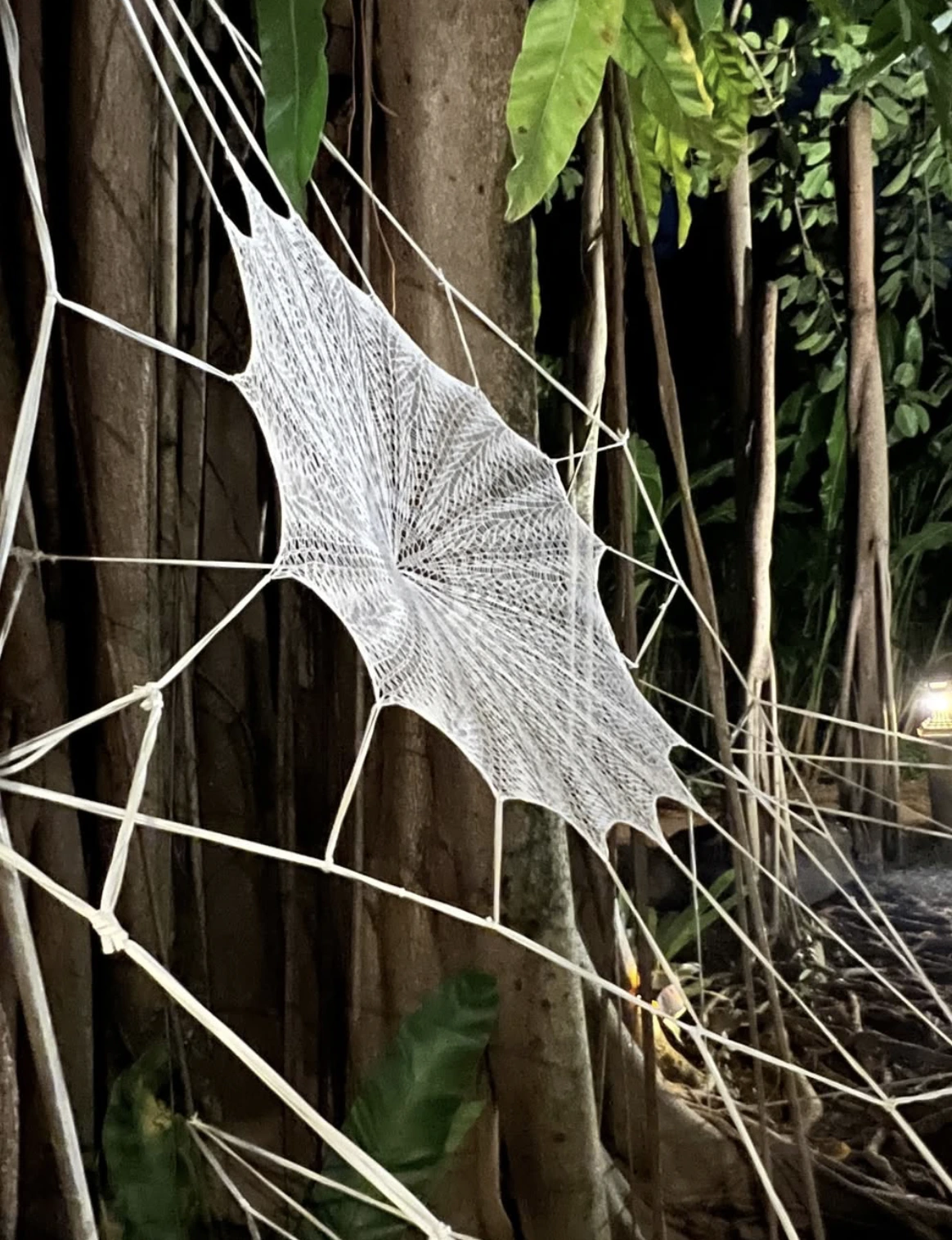 Oeuvre en volume tissée en fil blanc comme une toile d'araignée, fixée entre des arbres, on aperçoit des troncs et de la végétation.