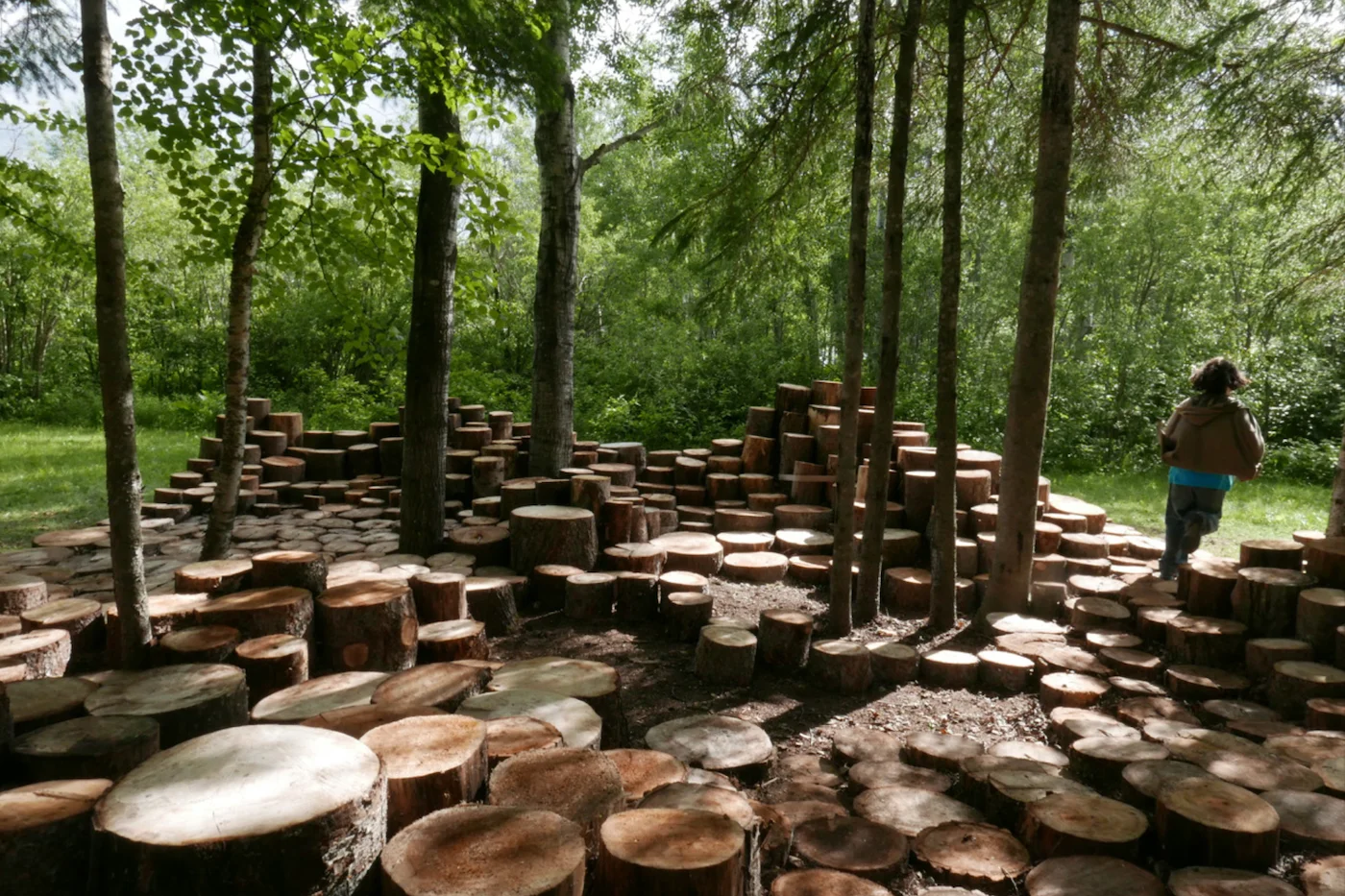 Chemin forestier fait de rondins de bois