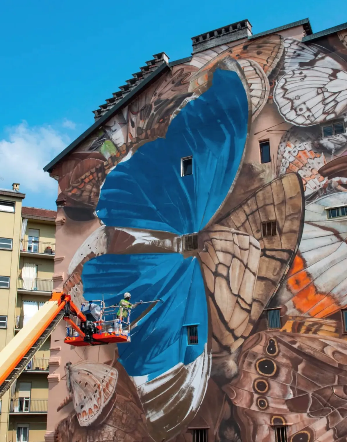 Fresque murale représentant un grand papillon bleu réaliste, peint sur la façade d’un immeuble en ruines.
