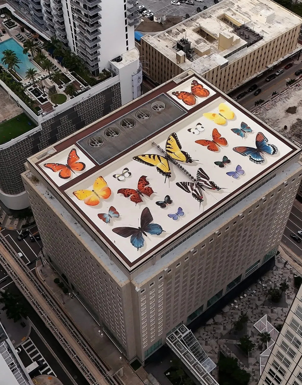 Vue aérienne d’un toit d’immeuble orné de plusieurs papillons encadrés comme dans une boîte d’exposition.