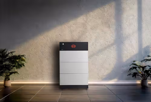 Ein Batteriespeicher von der Marke BYD steht mittig im Bild auf schwarzen Fliesen in einem großen, modernen Raum. Rechts und Links rahmen ein paar grüne Pflanzen das Bild ein.