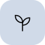 white flower icon