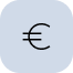 euro icon white