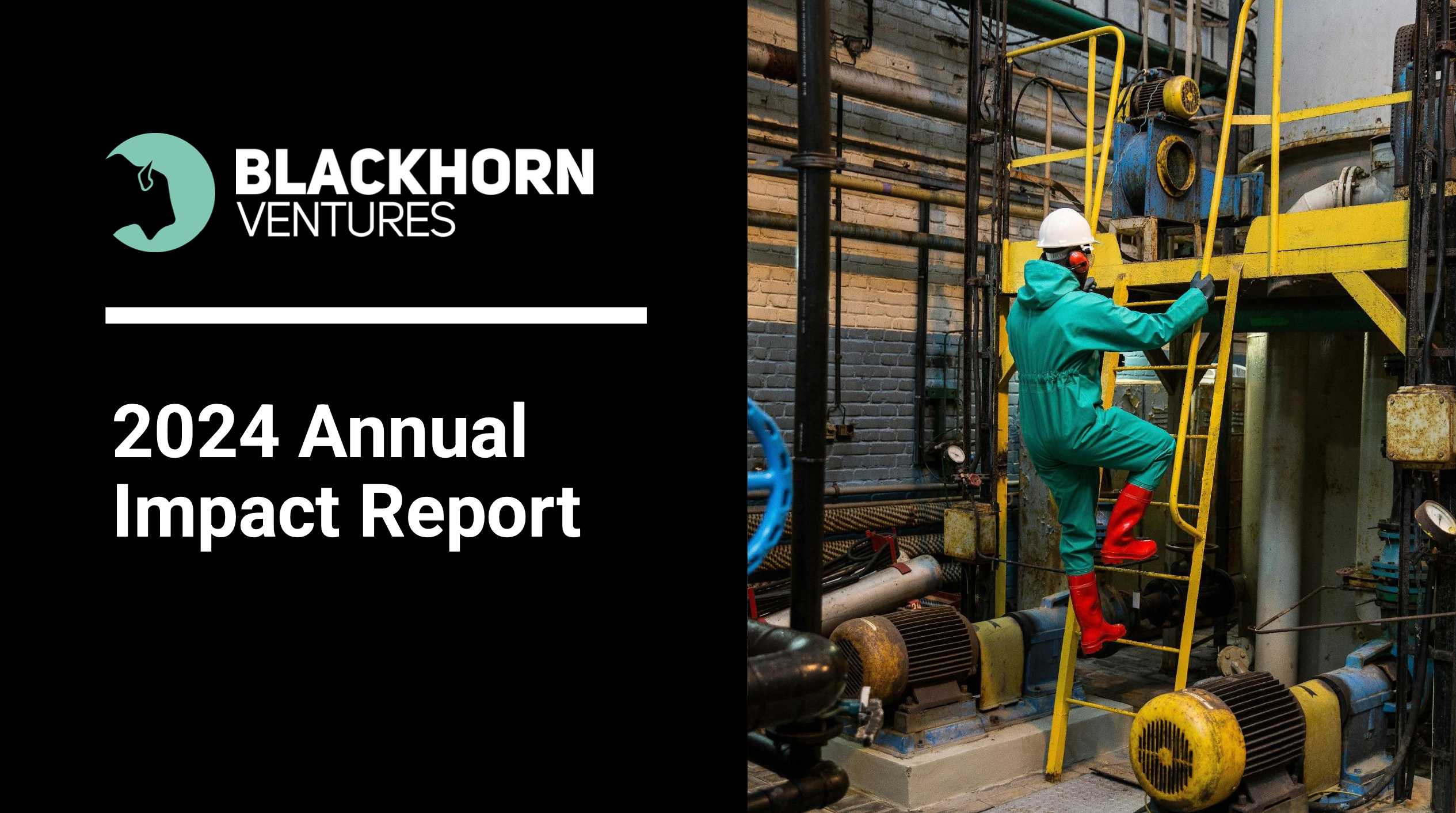 2024 Annual Impact Report
