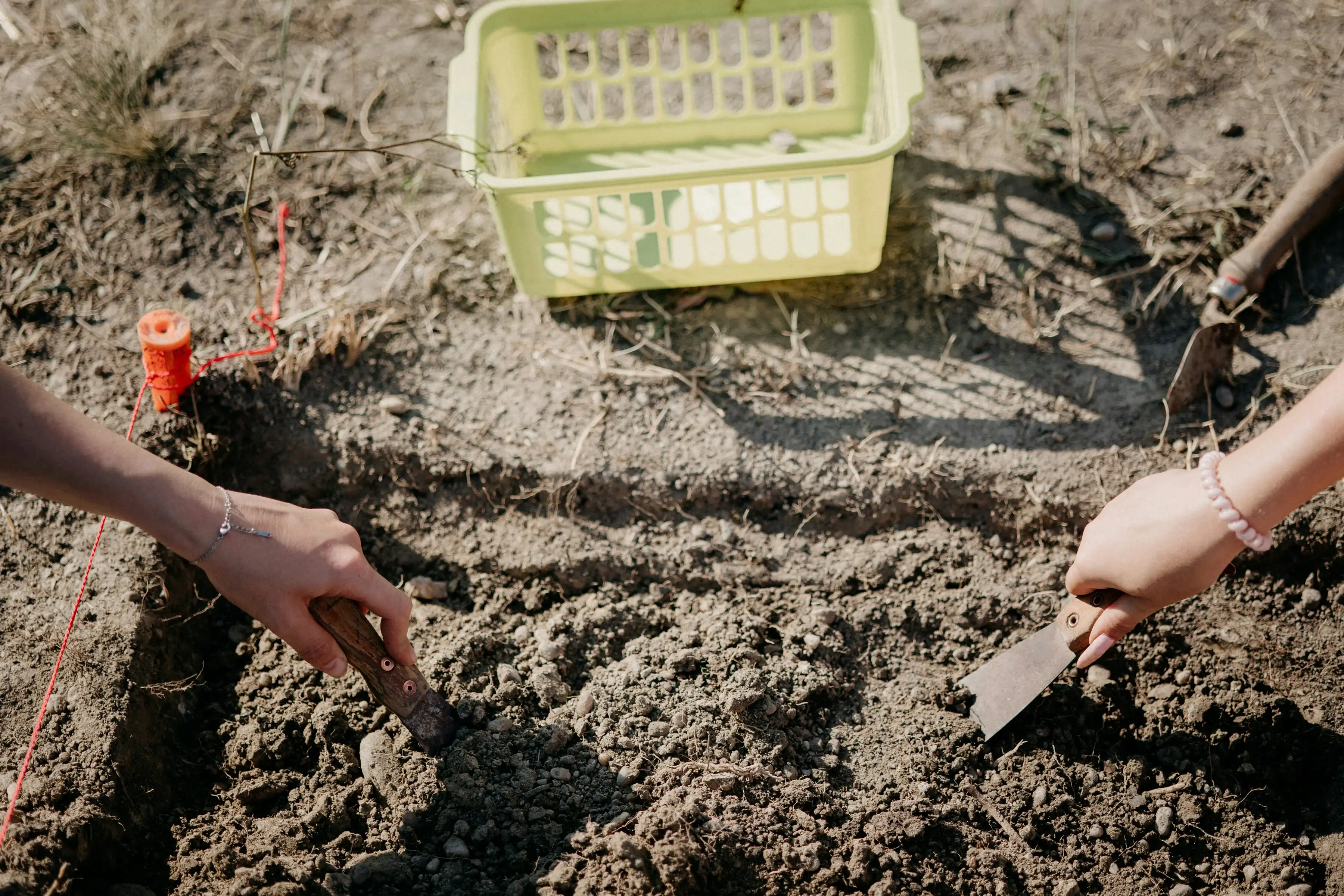 Two hands using small gardening tools to dig soil in a marked rectangular plot outdoors.
