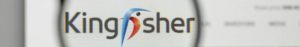 Kingfisher logo