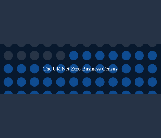 The UK Net Zero Business Census