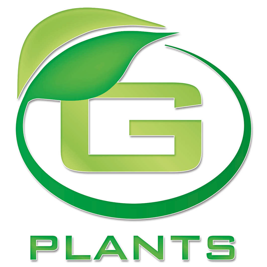 Bees Seeds Limited 