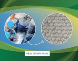 New Dawn Rugs