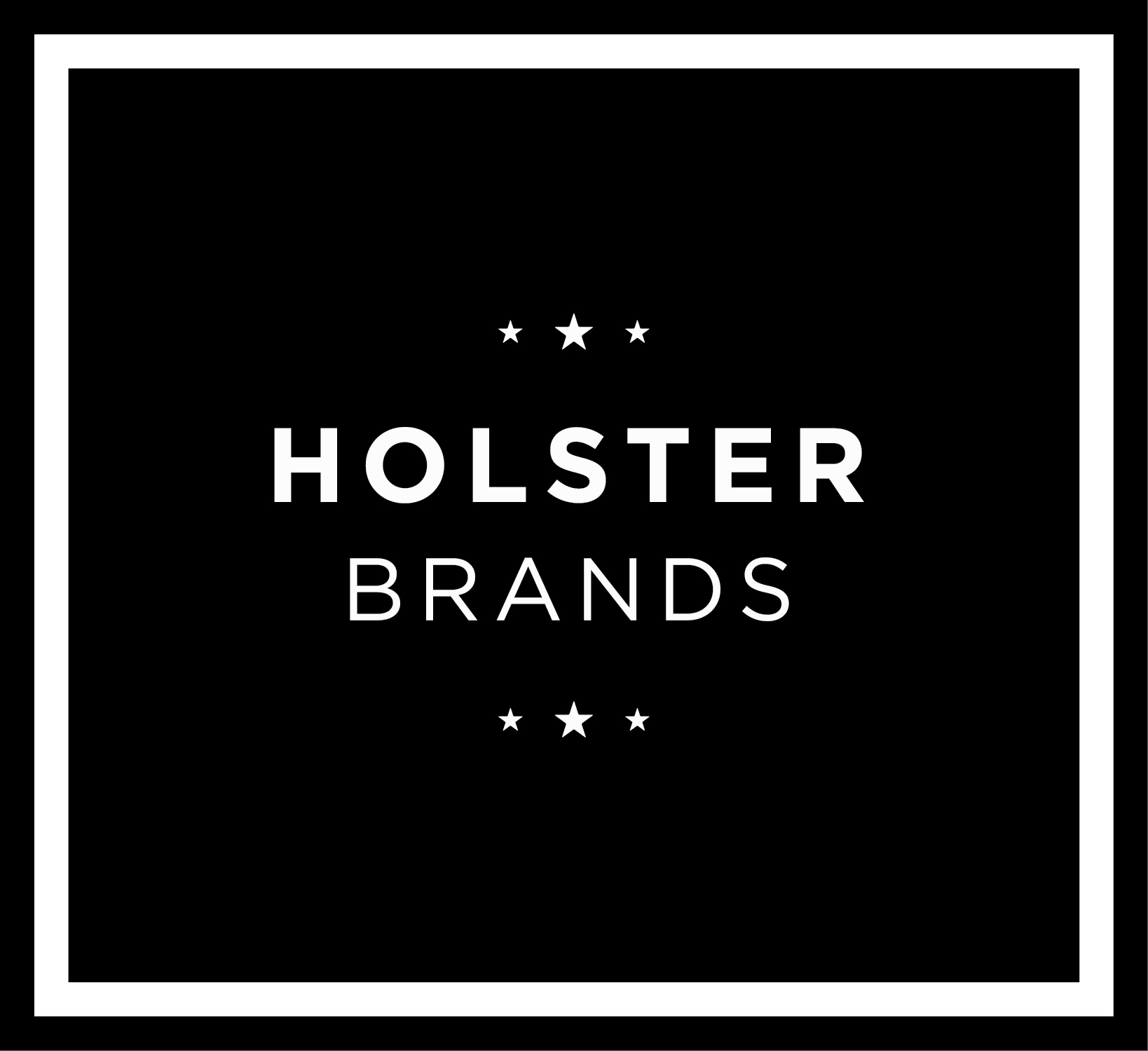 Holster