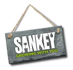Sankey