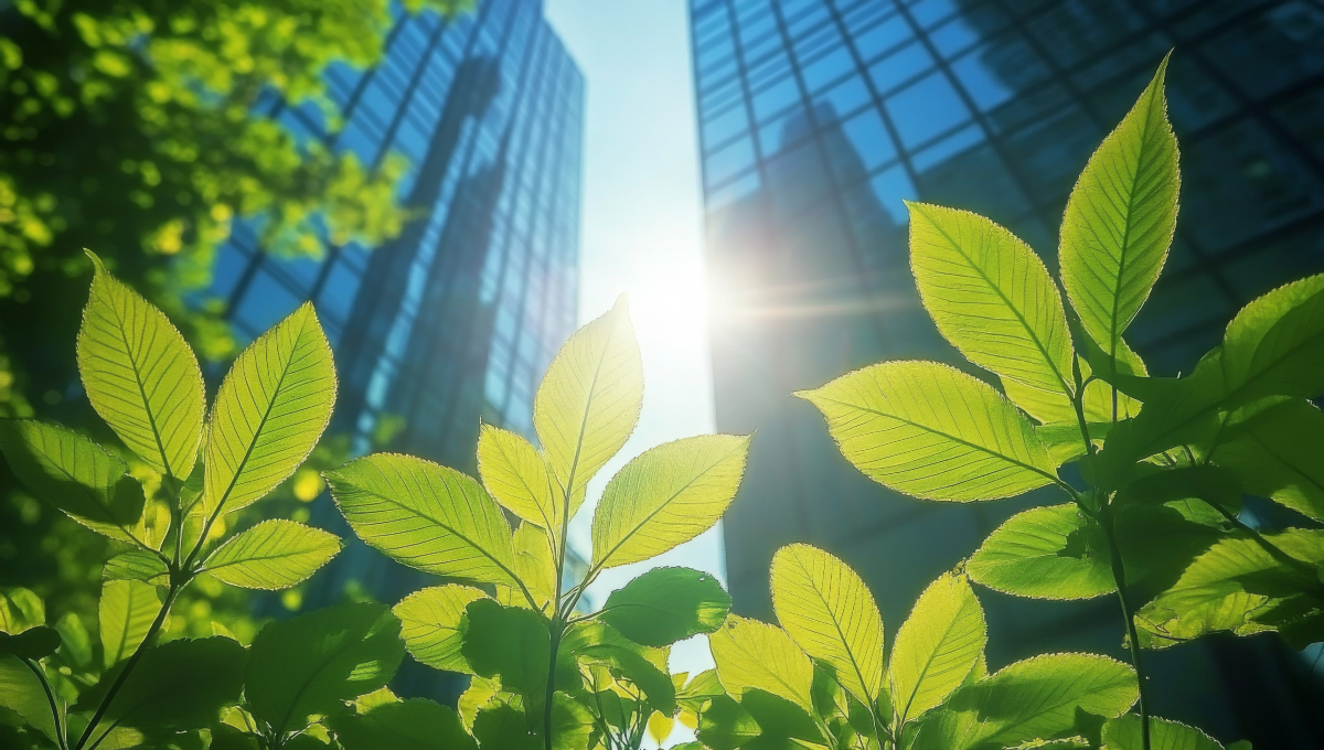 To B or Not to B? Why should you become B Corp certified?