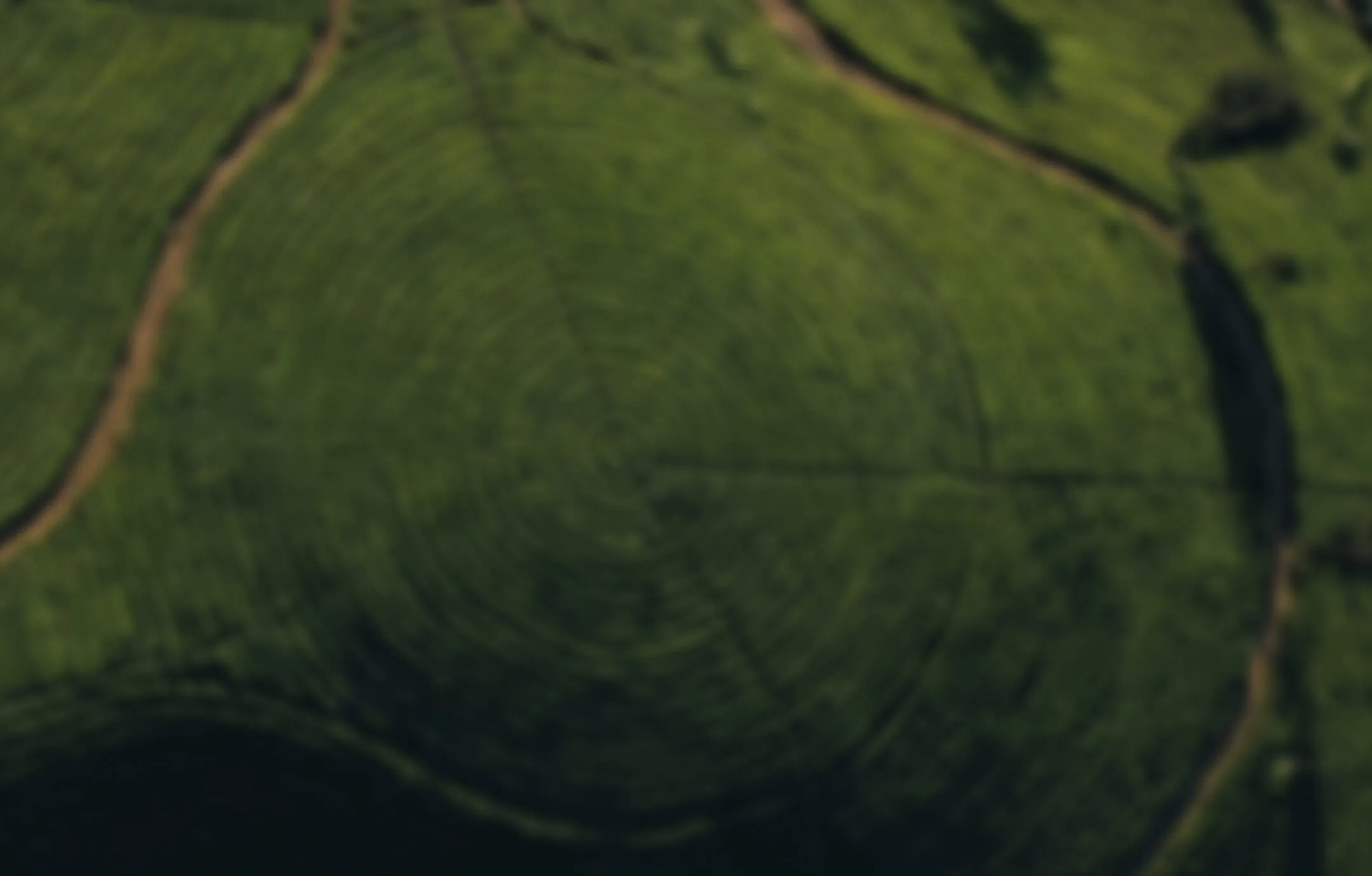 Aerial view of green circular agricultural fields with dirt paths intersecting the landscape.