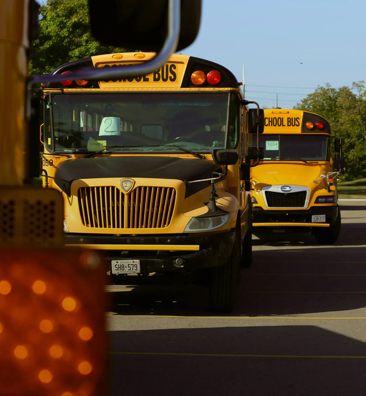 Two yellow school buses parked in a lot on a sunny day with trees in the background.