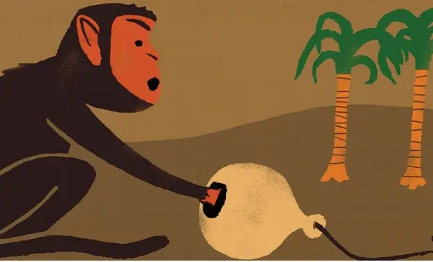 Monkey trapped with stubbornness