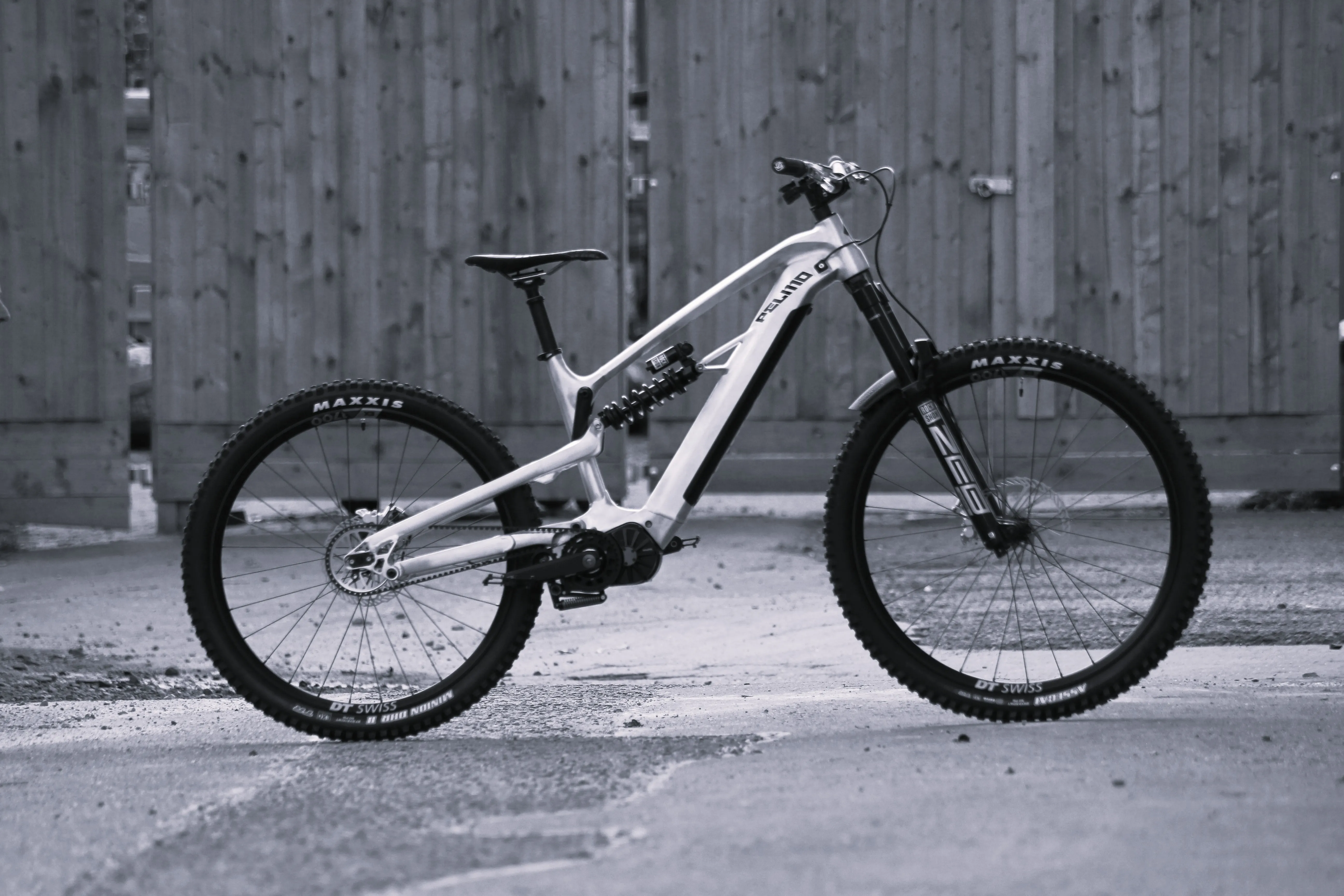 Alutech E-Pelmo GD8 e-MTB with GD8 gearbox powertrain and Gates belt drive