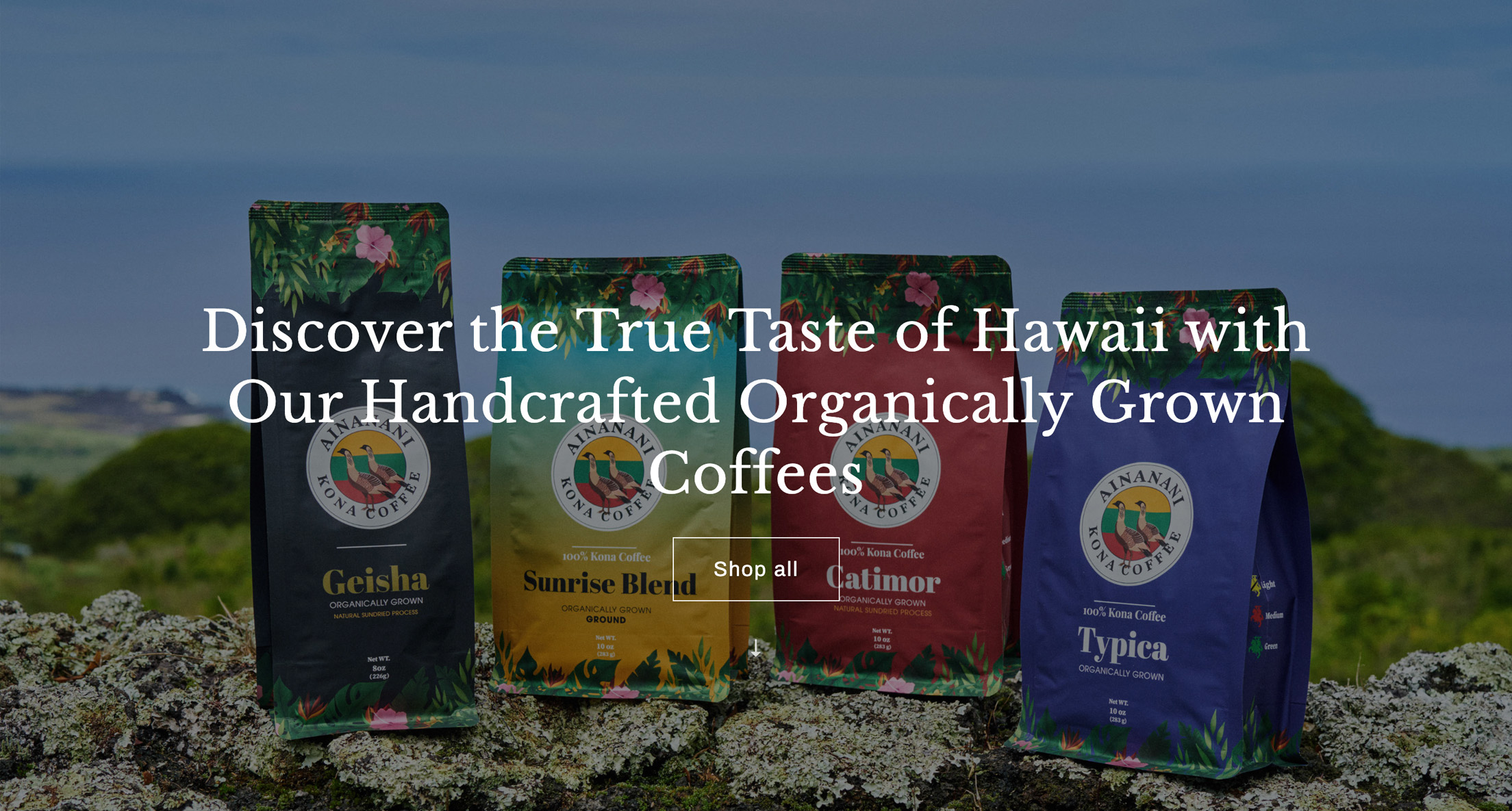 Ainanani Kona Coffee Case Study