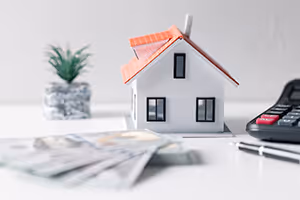 Property Taxes What Every Homeowner Should Know image