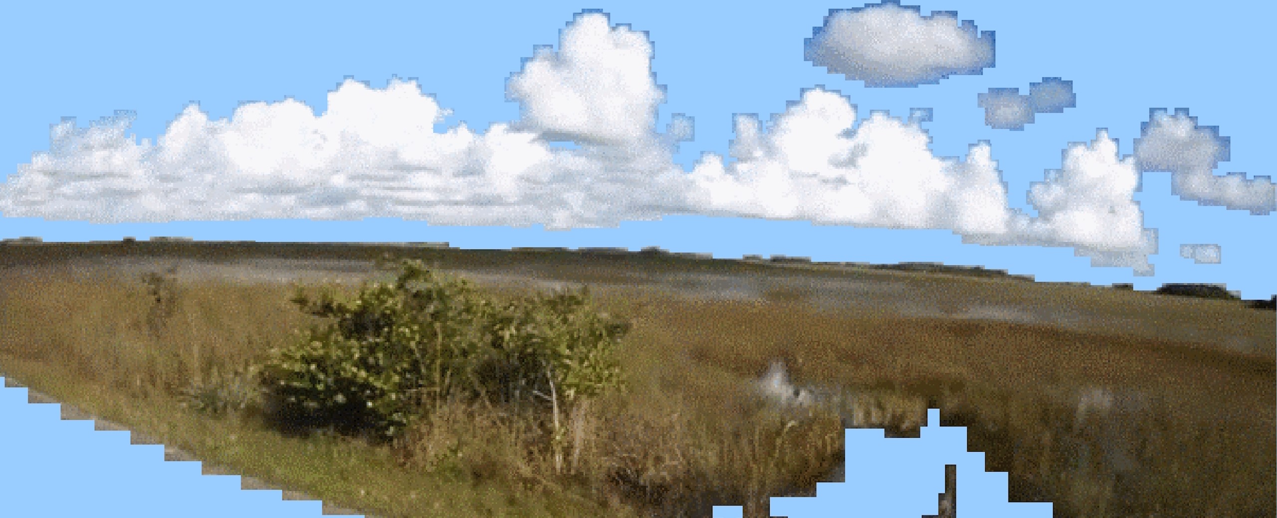 Roadkill | GIF
