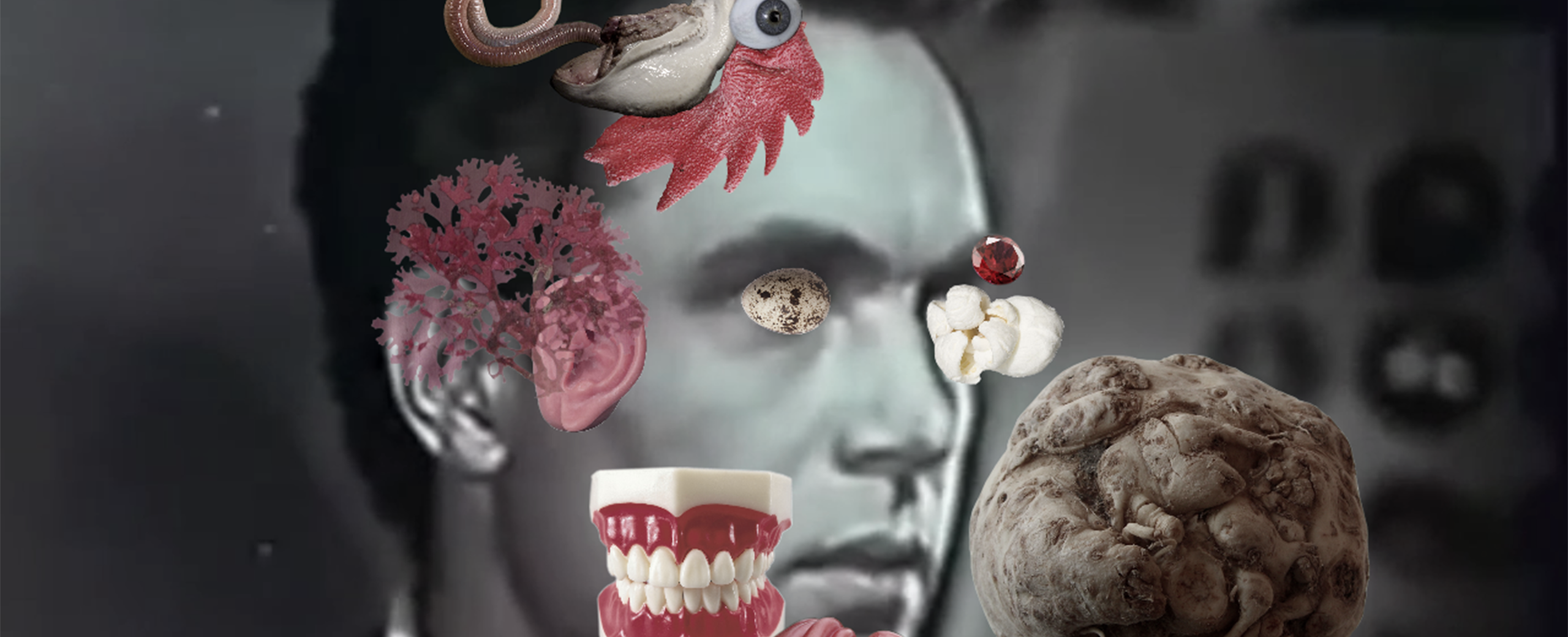 Local Host: Post-Human Media Arts