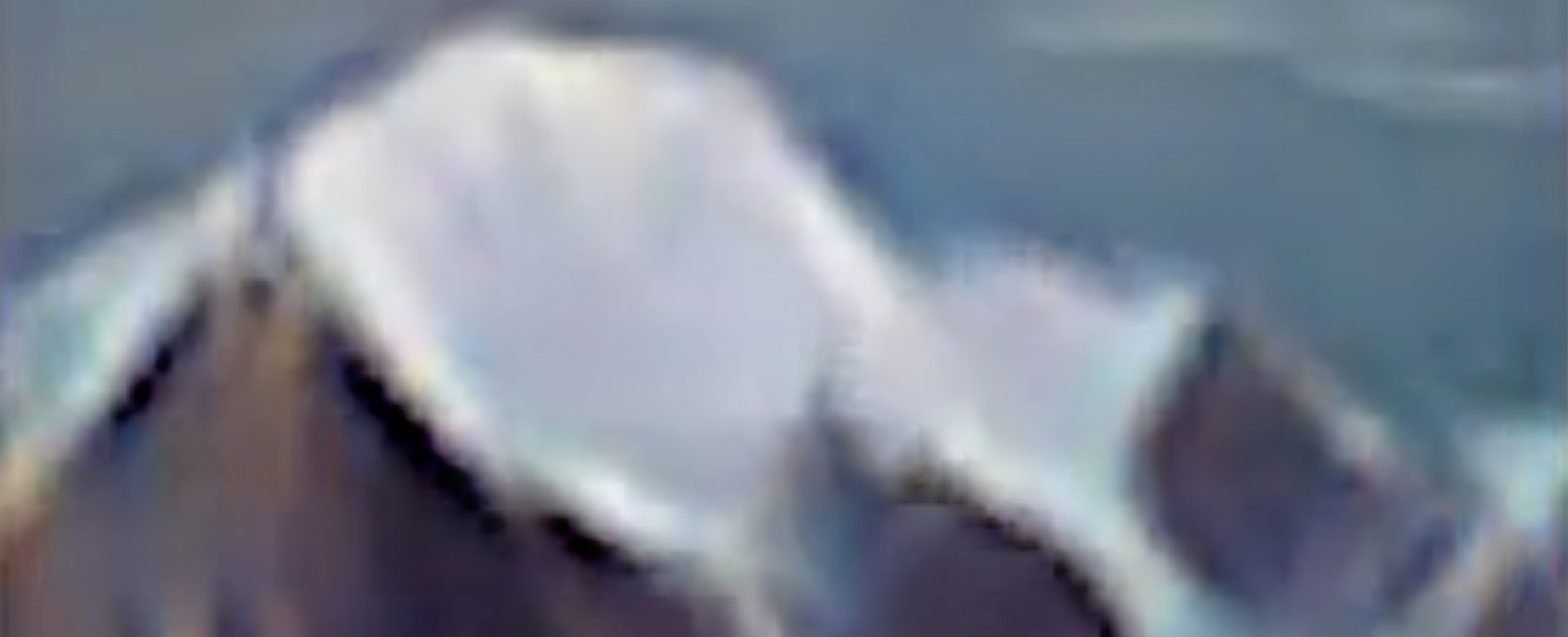 Canadian Abstracts | GIF