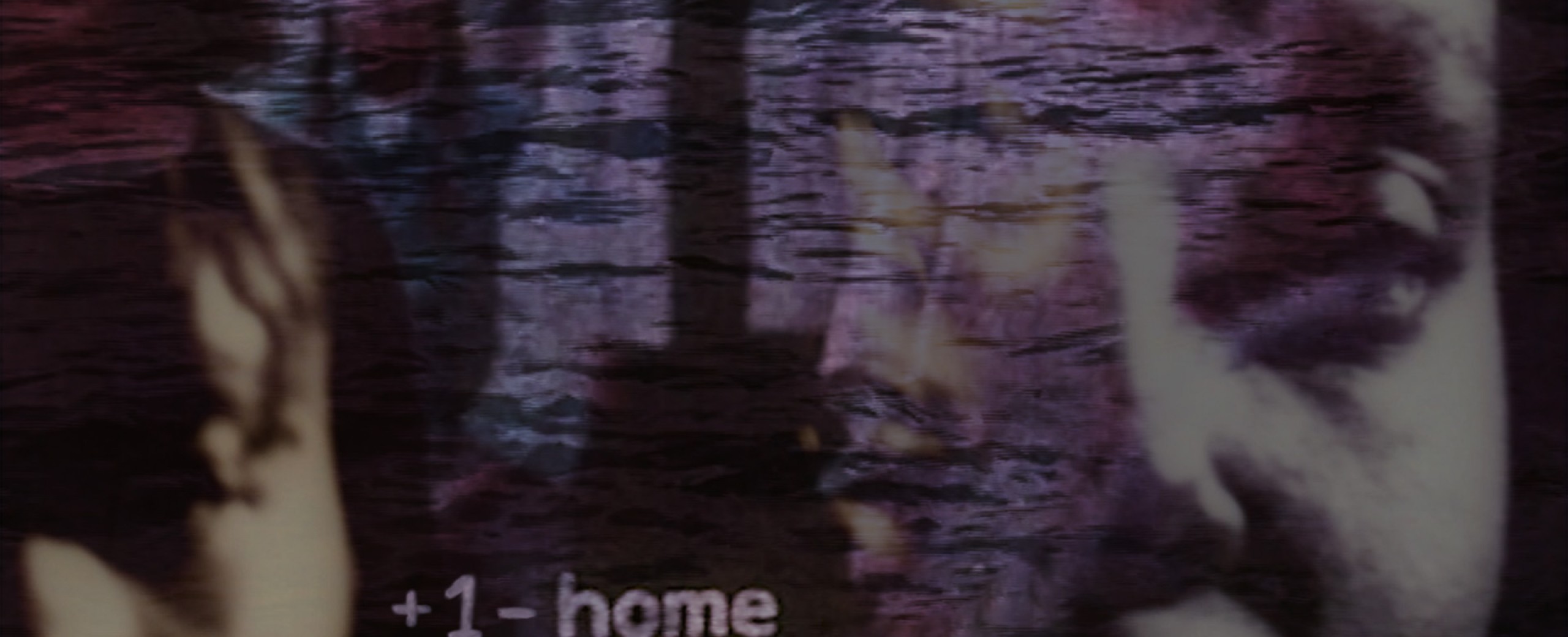 +1-home