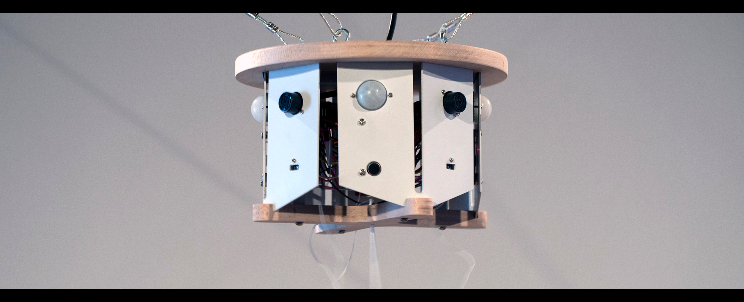 The Nature of Sound by Shauna Jean Doherty