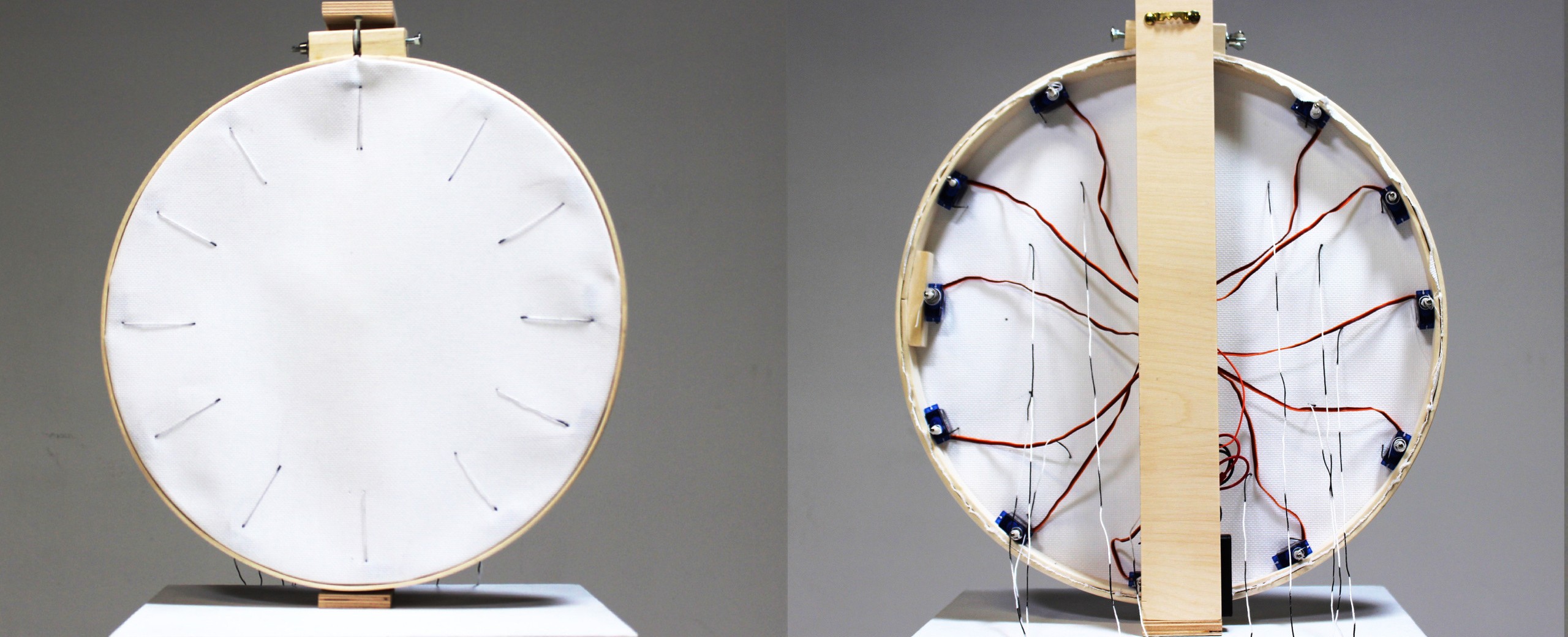 Jessie Sheng, 2017 Recipient of the InterAccess Media Arts Prize