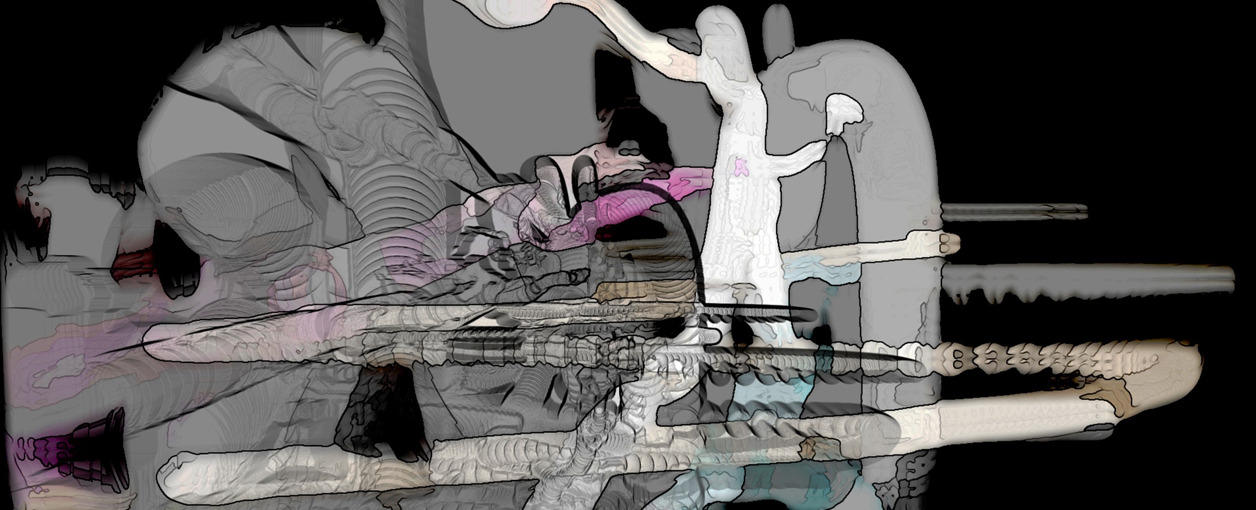 Vector Festival 2020 | Program Highlights